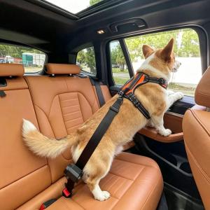 Retractable Pet Car Safety Belt | Auto Lock Dog Seat Belt For All Vehicles