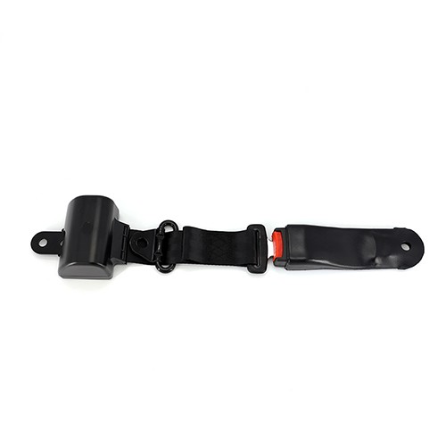 two point passenger car safety belt
